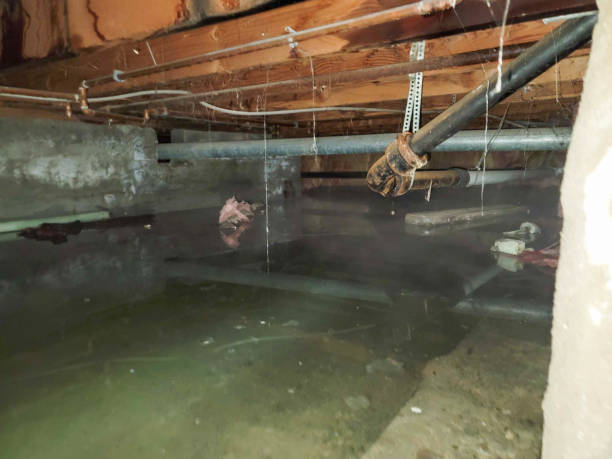 Best 24-hour water damage restoration  in Grand Rapids, MI