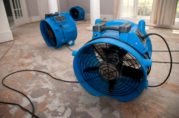 Professional Water damage restoration in MI