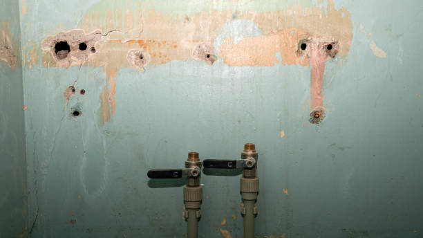 Best Carpet water damage restoration  in Grand Rapids, MI