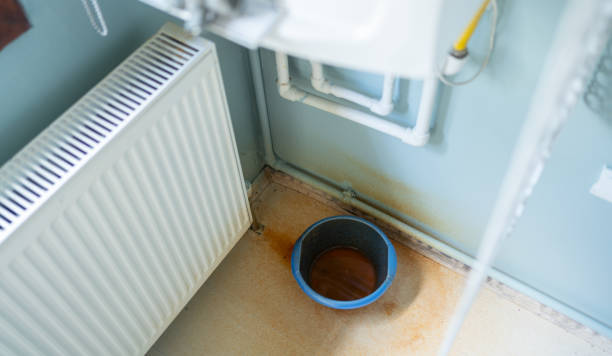 Best Sewage cleanup and water damage restoration  in Grand Rapids, MI