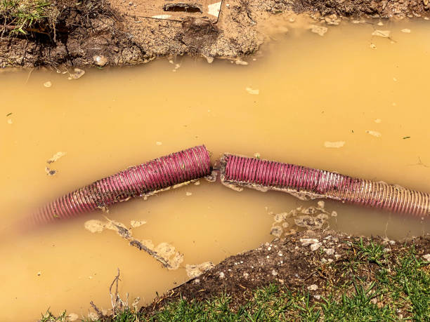 Best Water damage restoration services  in Grand Rapids, MI
