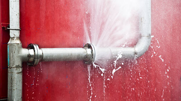 Best Basement water damage restoration  in Grand Rapids, MI